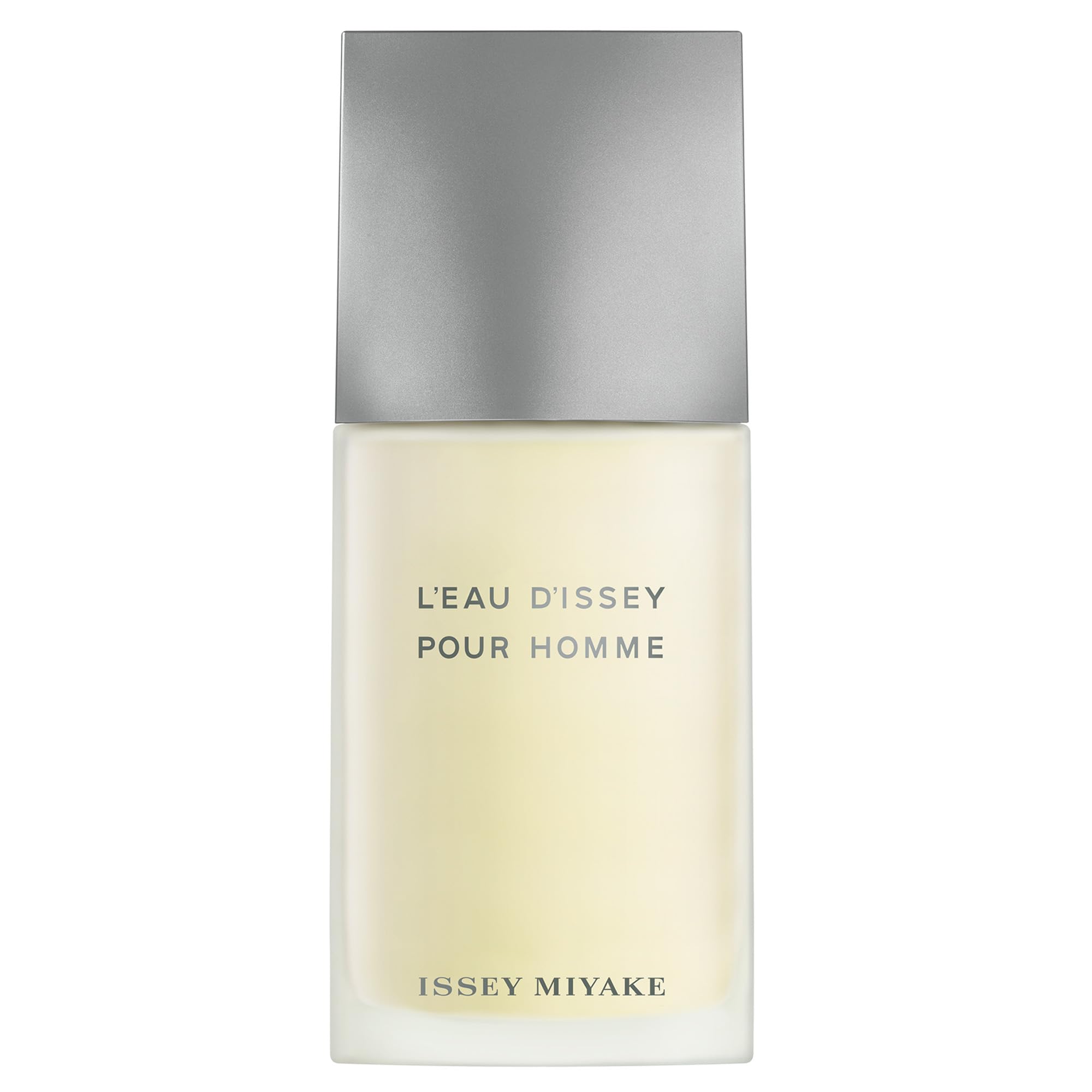 L'eau D'issey Pour Homme By Issey Miyake 4.2 ounce Eau De Toilette For Men